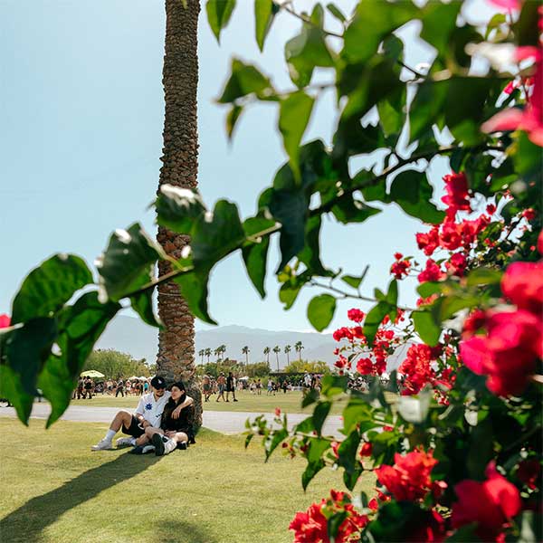Couple under a palm tree