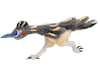 roadrunner icon