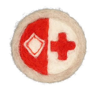 health and safety icon
