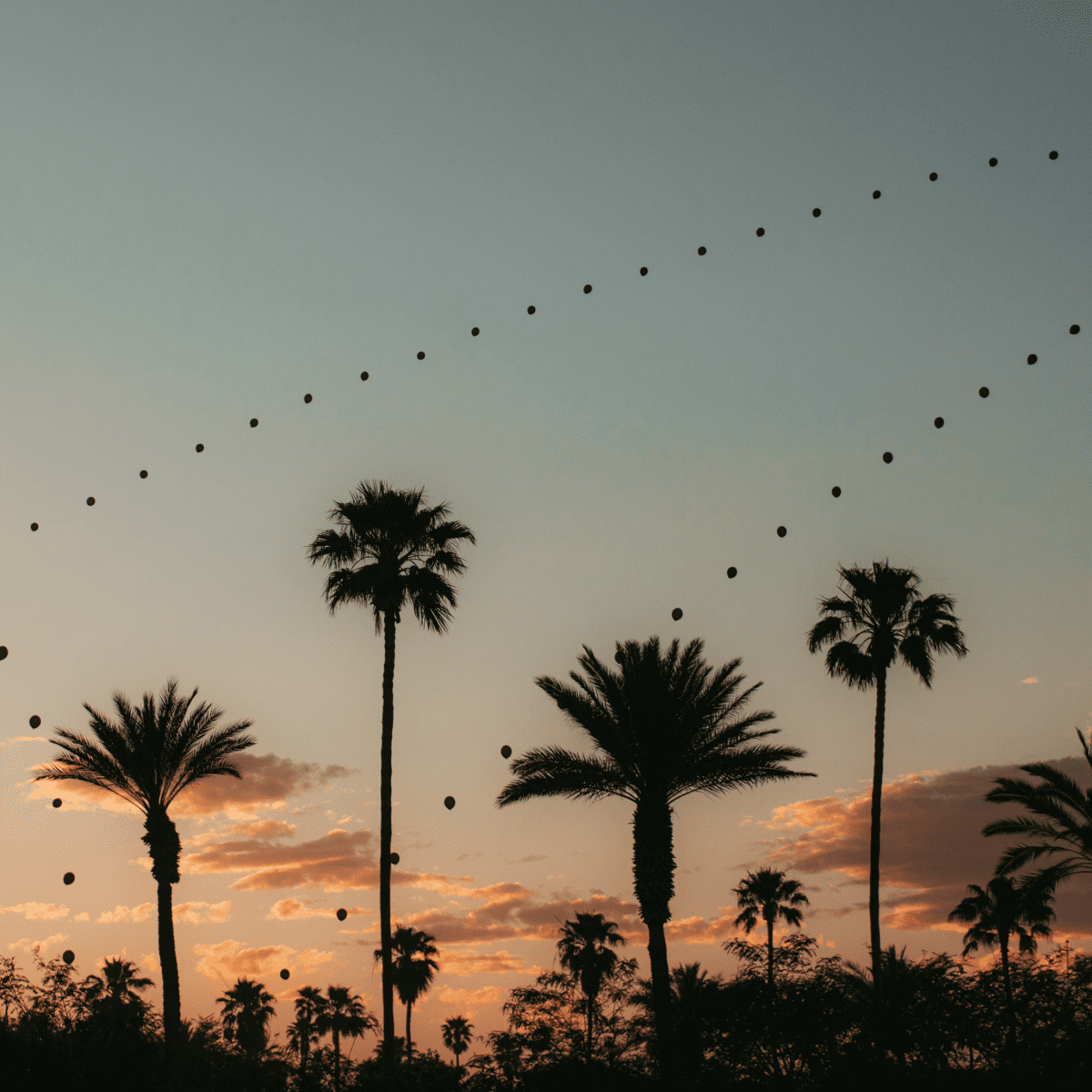 Coachella balloon chain against sky at dusk