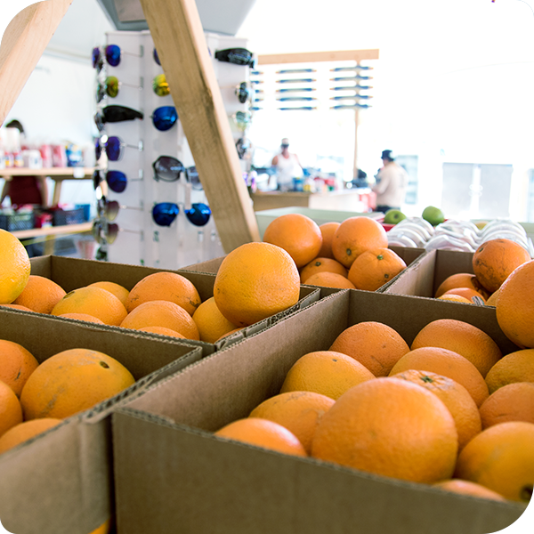 boxes of oranges