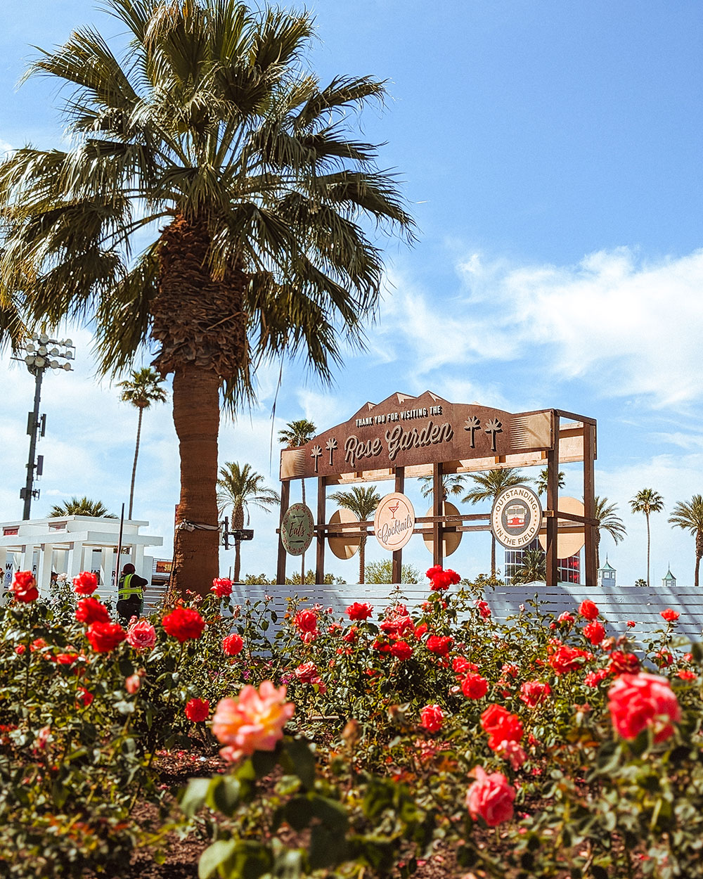 photo of Rose Garden with roses in foreground