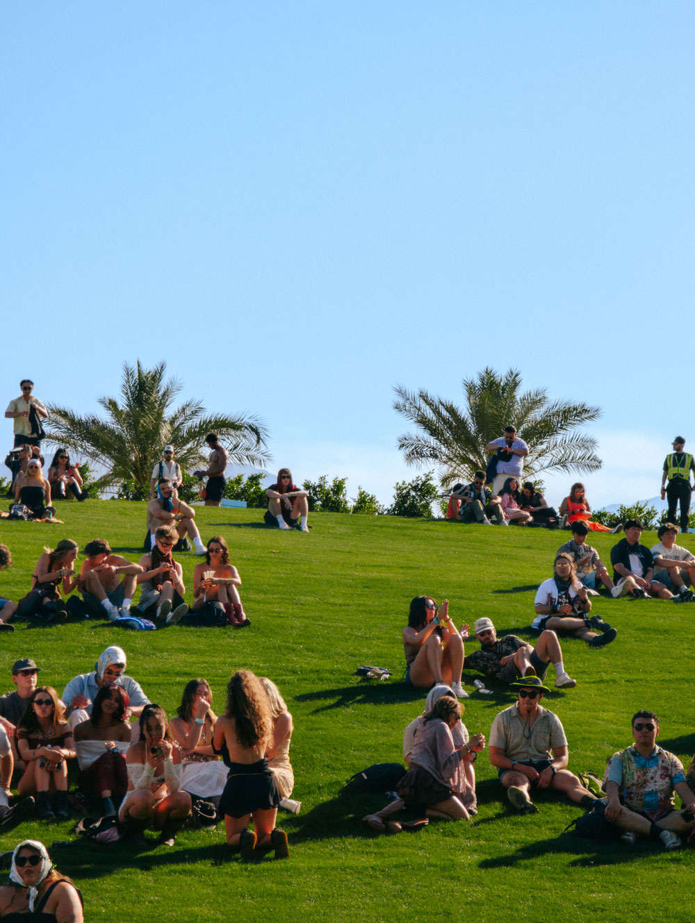 groups of Coachella fans sitting on bright green grass
