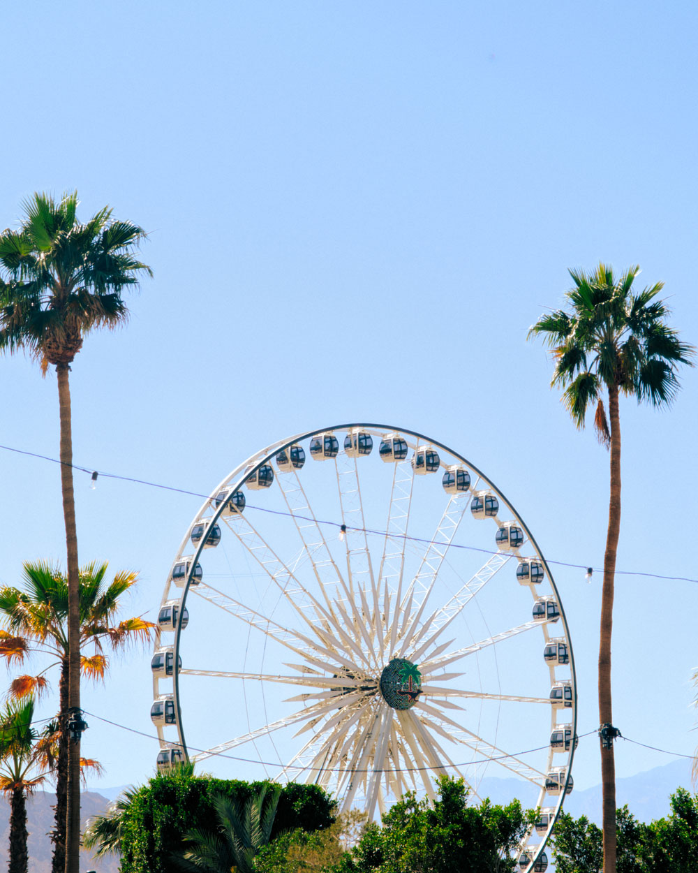 Coachella ferris wheel against palm trees