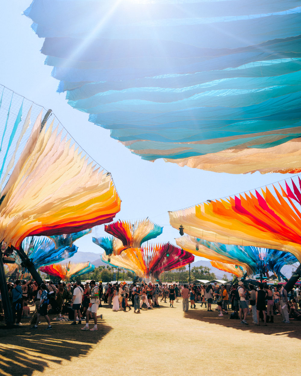 Coachella fans at Do Lab during the day