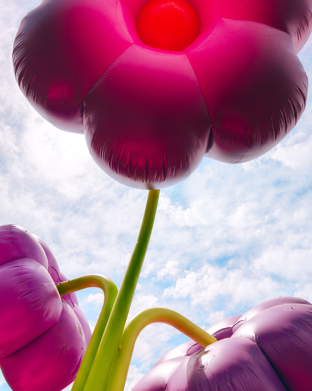 flower art installation