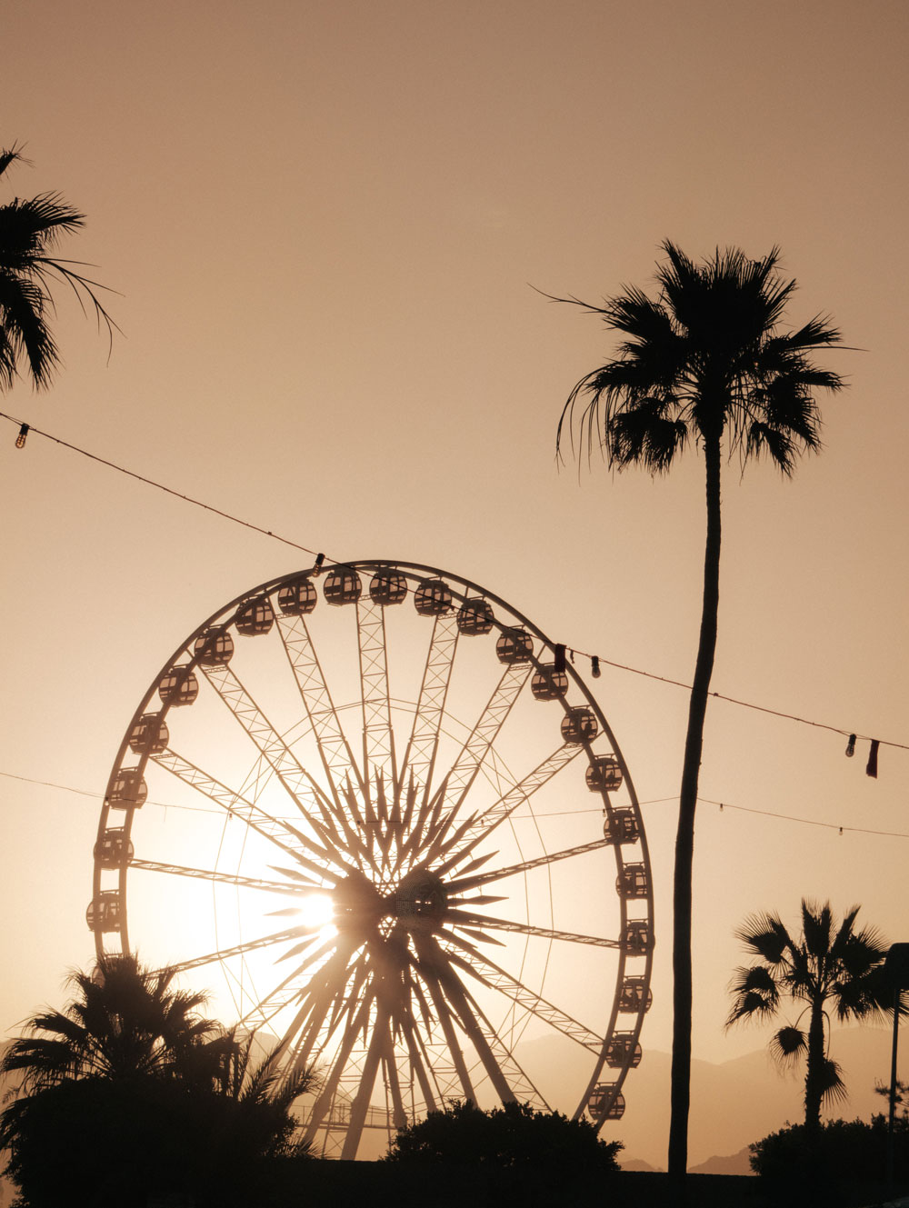 ferris wheel photo