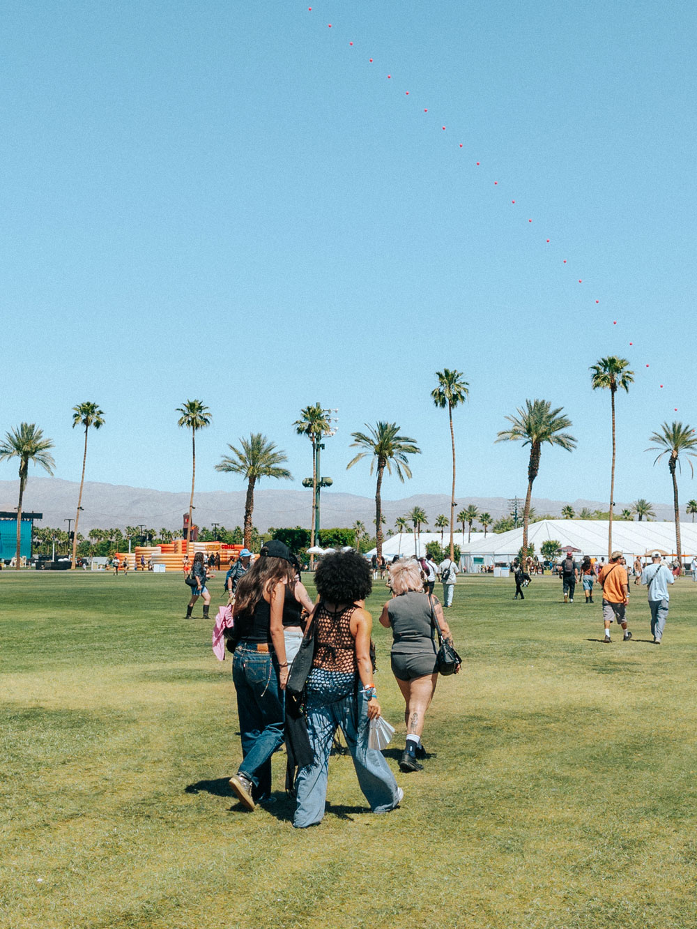 fans walking across green grass in front of palm trees